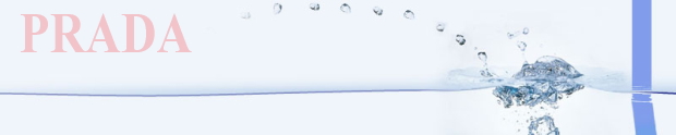 �v���_�����z
